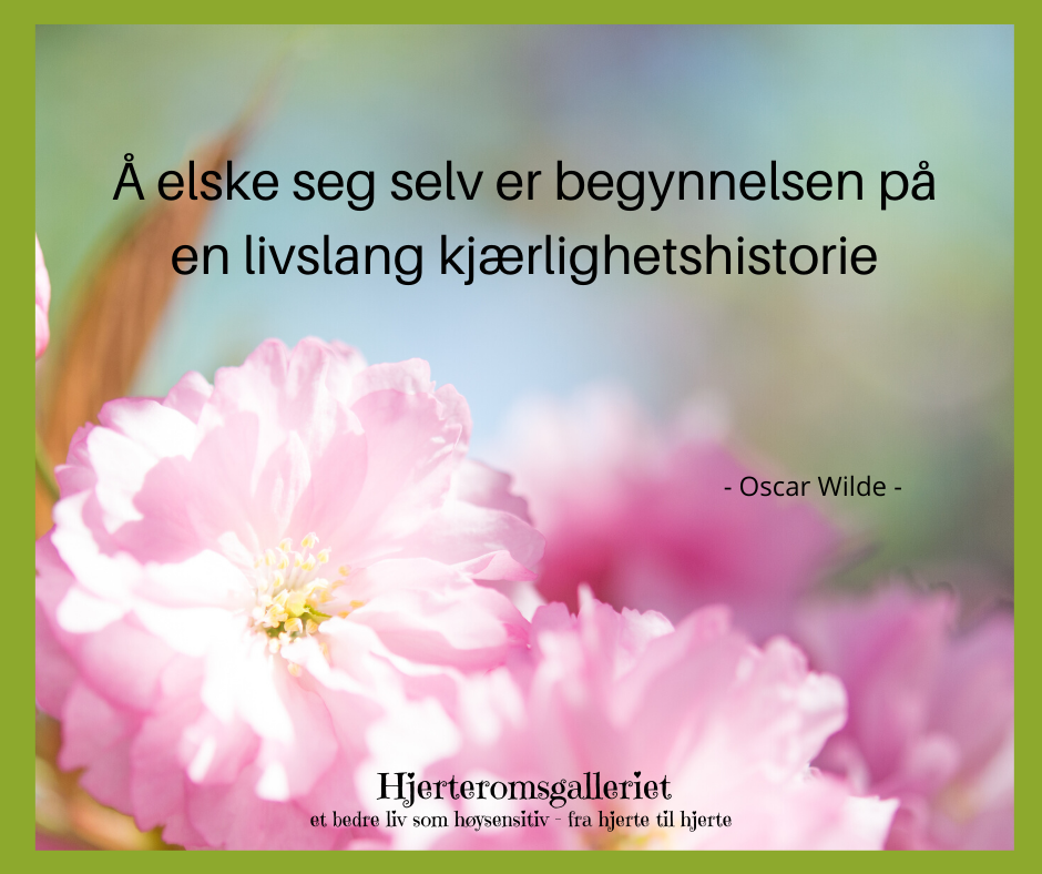 Blanke ark – en ny og spennende start