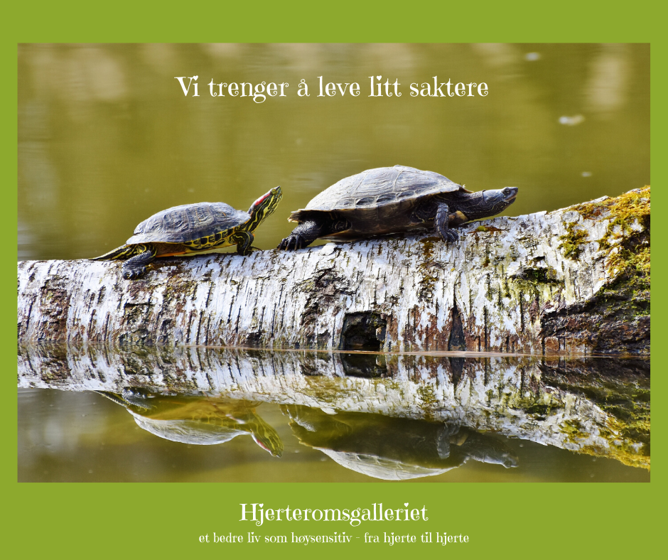 Leve sakte  gir mer balanse