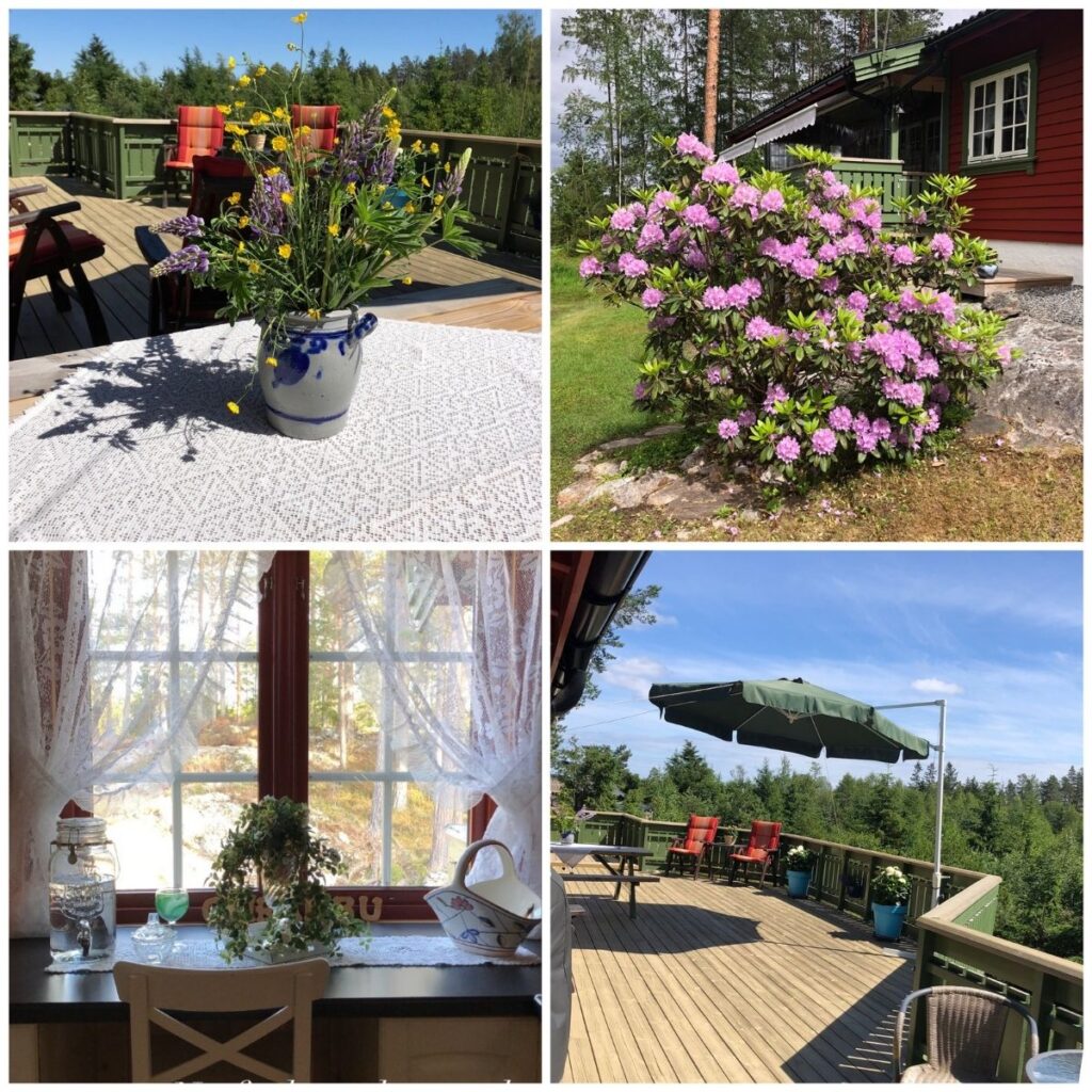 Min drøm var en hytte