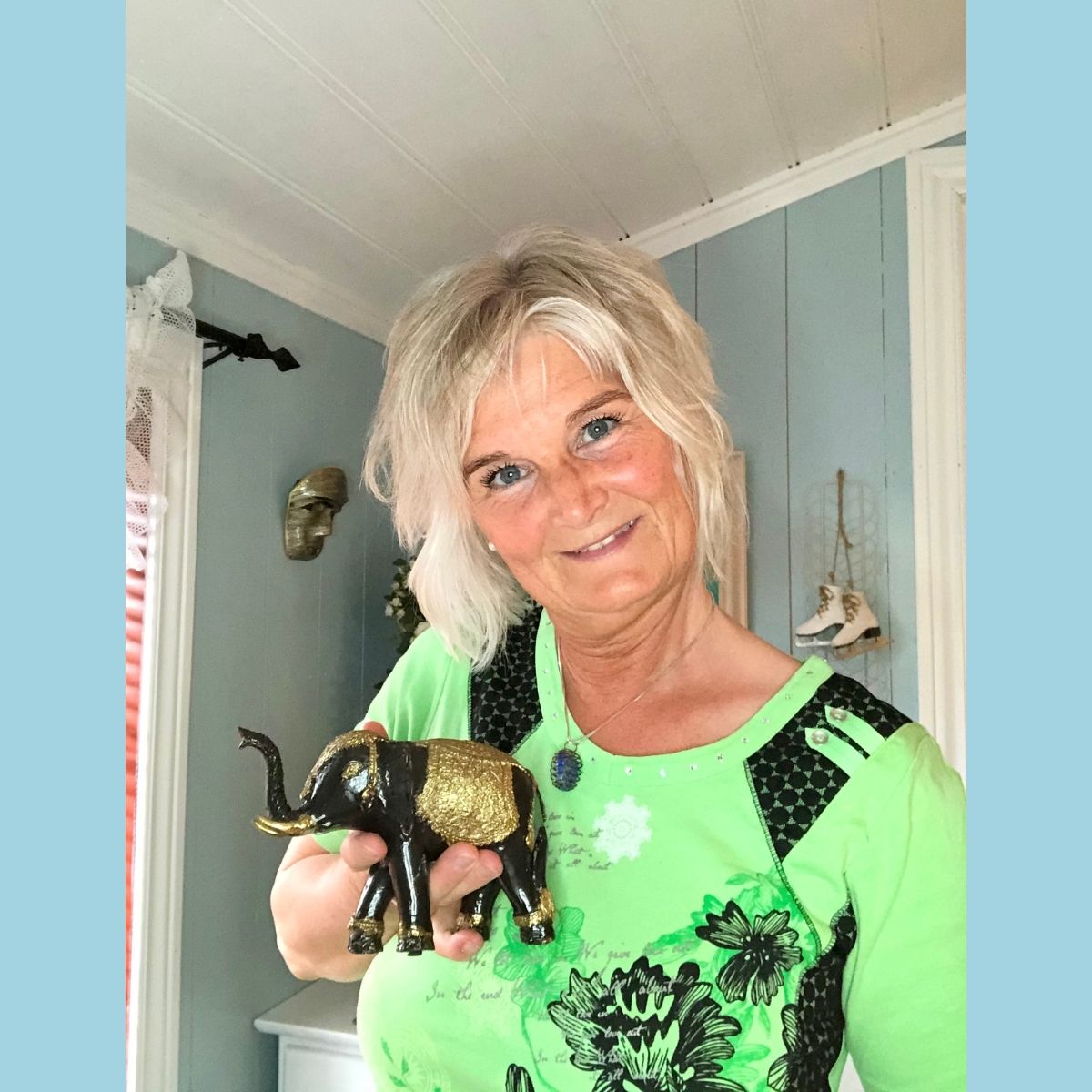 Kraftdyr som veiledere